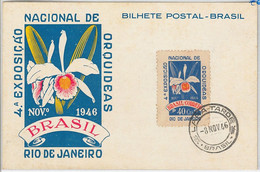 48238 - BRAZIL - Postal History - MAXIMUM CARD - FLOWERS: ORCHIDS  1946 - Tarjetas – Máxima