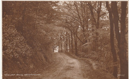 ABERYSTWITH -CWM WOODS.  JUDGES - Cardiganshire