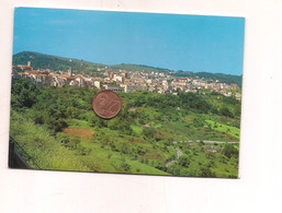 MM1473 Molise AGNONE Isernia Panorama Viaggiata - Andere & Zonder Classificatie