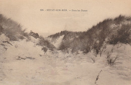 Delcampe - Heyst Sur Mer - Dans Les Dunes - Heist