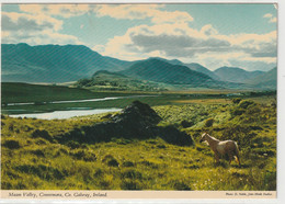 Galway, Maam Valley, Connemara - Galway