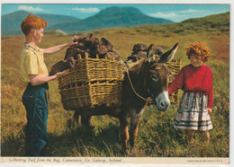 Galway, Collecting Turf From The Bog, Connemara - Galway