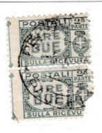 1927-32 REGNO USATO PACCHI POSTALI 2 LIRE SEZIONE - COPPIA - Pacchi Postali