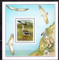 TRANSKEI / Neufs**/MNH** / 1991 - Oiseaux Protégés - Transkei