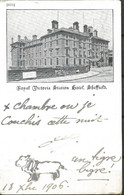 ROYAL VICTORIA STATION HOTEL   SHEFFIELD CPA 1906 - Sheffield