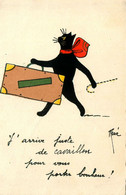 Cavaillon * Souvenir De La Ville ! * Chat Noir Humanisé Illustrateur René * Cat Cats Chats Katze Black - Cavaillon