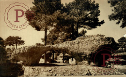 CUENCA. CIUDAD ENCANTADA. PUENTE ROMANO. - Cuenca