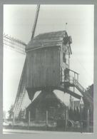 ***  GEEL  ***   -    De Gansakkermolen Te Geel 1600  -  Met Afstempelingen, Zie Scan's - Geel