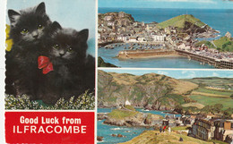 ILFRACOMBE MULTI VIEW - Ilfracombe