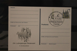 Deutschland 2002;  234. Ludwigsburger Pferdemarkt, Wertstempel Sehenswürdigkeiten, SST - Postales Privados - Usados