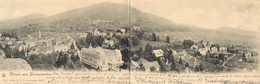 ALLEMAGNE  BADENWEILER Carte Panoramique - Badenweiler