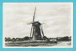 * Domburg (Zeeland - Nederland) * (D.B.M. 65 - 1054) Carte Photo - Fotokaart, Moulin, Molen, Mill, Muhle, TOP - Domburg