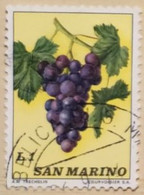 SAN MARINO 1973 FRUTTA LIRE 1 - Used Stamps
