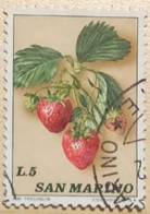 SAN MARINO 1973 FRUTTA LIRE 5 - Used Stamps