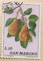 SAN MARINO 1973 FRUTTA LIRE 10 - Used Stamps