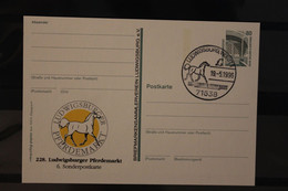 Deutschland 1996;  228. Ludwigsburger Pferdemarkt, Wertstempel Sehenswürdigkeiten, SST - Private Postcards - Used