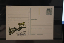 Deutschland 1997;  229. Ludwigsburger Pferdemarkt, Wertstempel Sehenswürdigkeiten - Private Postcards - Mint