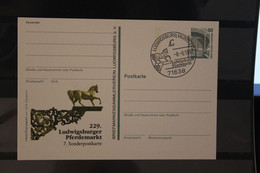 Deutschland 1997;  229. Ludwigsburger Pferdemarkt, Wertstempel Sehenswürdigkeiten, SST - Cartoline Private - Usati