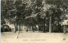 Mende * Avenue Théophile Roussel - Mende