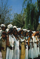 Fête Dans La Vallée Du Dadès - Marrakech