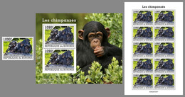 BURUNDI 2022 MNH Chimpanzees Schimpansen Chimpanzes SET - OFFICIAL ISSUE - DHQ2205 - Chimpancés