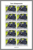 BURUNDI 2022 MNH Chimpanzees Schimpansen Chimpanzes M/S - IMPERFORATED - DHQ2205 - Chimpanzees