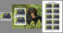 BURUNDI 2022 MNH Chimpanzees Schimpansen Chimpanzes SET - IMPERFORATED - DHQ2205 - Chimpancés