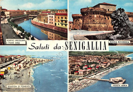 Cartolina Senigallia Vedute Varie E Panorama Aereo 1969 (Ancona) - Ancona