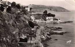 ST-LAURENT Anse Aux Moines Et Pointe Du Roselier  1954 - Plérin / Saint-Laurent-de-la-Mer