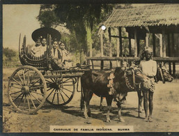 Burma Real Photo Carruaje De Familia Indigena .  Native Family Cart - Myanmar (Burma)