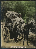 India Real Photo Carro De Montana  .  Mountain Cart - Myanmar (Burma)