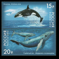 2012 Russia 1788-1789Paar Marine Fauna - Whales 4,20 € - Nuevos