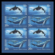 2012 Russia 1788-1789KL Marine Fauna - Whales 17,00 € - Unused Stamps