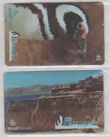BRASIL 2003 PATAGONIA PENGUIN SET OF 2 CARDS - Pingouins & Manchots