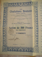 Magnifique Action Décorée. Les Chalutiers Bretons. Action De 500 Francs - Scheepsverkeer