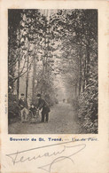 Souvenir De SAINT TROND - Vue Du Parc - Carte Animée Et Circulé - Sint-Truiden