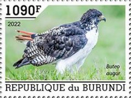 Burundi 2022, Animals, Bird Of Prey II, 1val - Neufs