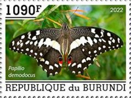 Burundi 2022, Animals, Butterfly II, 1val - Nuevos