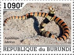 Burundi 2022, Animals, Snake II, 1val - Ungebraucht