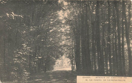 GAGES - Avenue Du Château De M. Le Comte De Lichtervelde - Brugelette