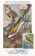 Carte Maximum Oiseau Bird San Marin Marino 1960 Chardonneret - Storia Postale