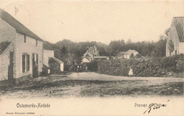 OSTEMEREE-ANTHEE - Paysage Et Château - Carte Animée Et Circulé En 1905 - Onhaye