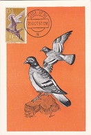 Carte Maximum  Oiseau Bird Ifni 1957 Pigeon Ramier - Ifni