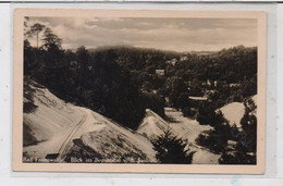 0-1310 BAD FREIENWALDE, Blick Ins Brunnental, 1937 - Bad Freienwalde