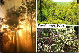 (2 F 28) Australia - WA - Pemberton (posted With Australia Post Office Stamp) - Altri & Non Classificati