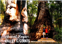 (2 F 28) Australia - WA - Valley Of The Giants (posted To Australia Motorbike Stamp) - Autres & Non Classés