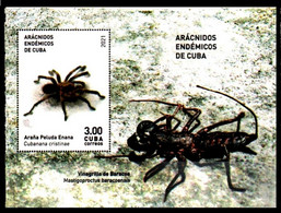 CUBA 2021 *** New Spider Full Set Of Spiders Poison , Amphibian , Insect, MS MNH (**) Limited Edition - Ungebraucht
