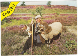 Rolde -  (Drenthe, Nederland / Holland) - Nr. L 33 - Herder Met Hond En Ram - Heide - ('Rolde' In Geel Banner) - Rolde