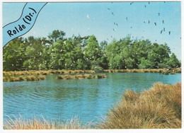 Delcampe - Rolde - (Drenthe, Nederland / Holland) - Nr. L 3348 - Bosven, Vogels, Riet - Rolde