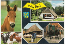 Rolde - (Drenthe, Nederland / Holland) - Nr. L 3368 - Boerderij, Dieren - Rolde